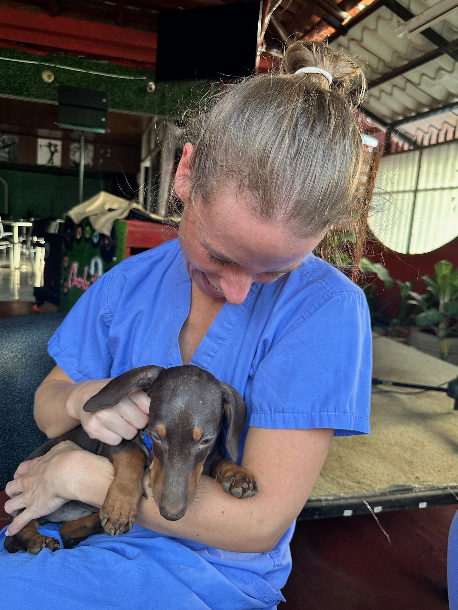 A volunteer in blue scrubs holding a small black-and-tan dog
