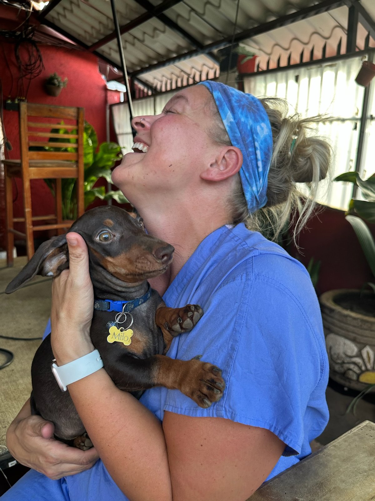 A volunteer in blue scrubs laughing while holding a small dachshund