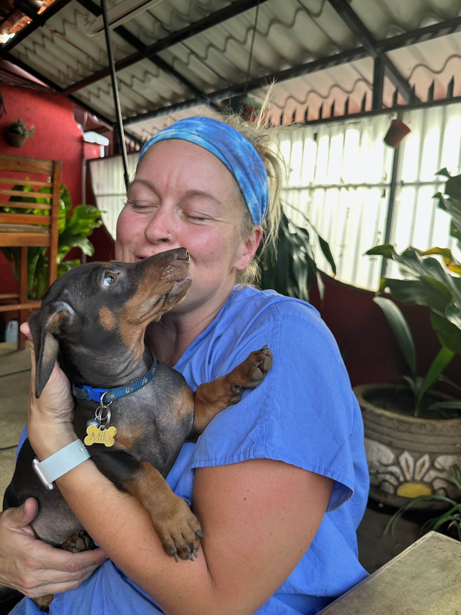 A volunteer in blue scrubs holding a small dog that is licking her cheek