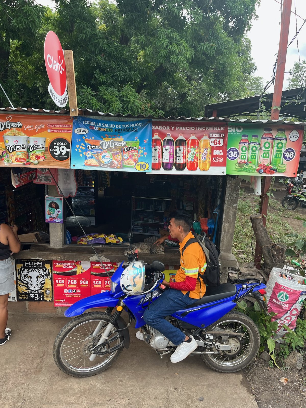 A man on a blue motorcycle at a colorful roadside shop with a cat on the counter